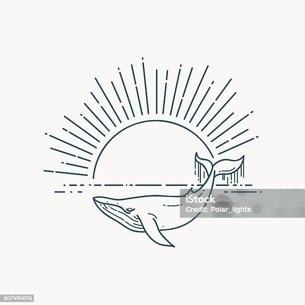 Modern Flat Linear Vector Illustration With Whale And Sunrise Stock Illustration - Download Image Now