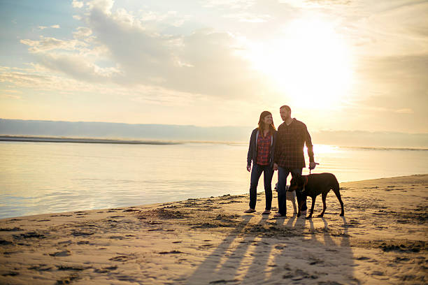 istock Cute couple walking their dogs at the beach 607497718