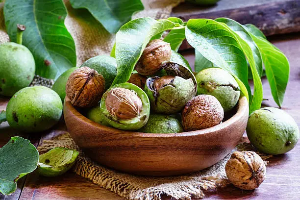 Fresh walnuts in a green shell with leaf, vintage wooden background, selective focus