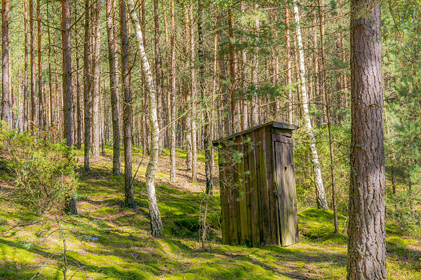 toilet in the forest