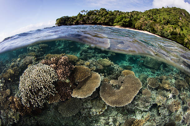 istock Fringing Reef and Tropical Island 607502488