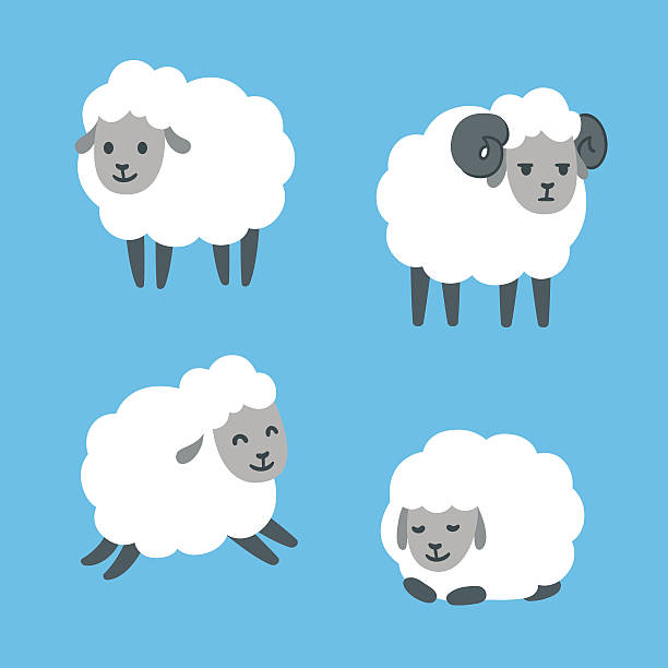 illustrazioni stock, clip art, cartoni animati e icone di tendenza di set di pecore dei cartoni animati - sheep