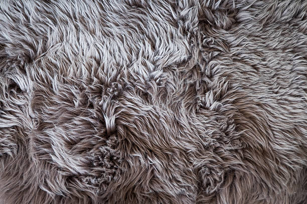 istock Shag Rug Close Up 607505506