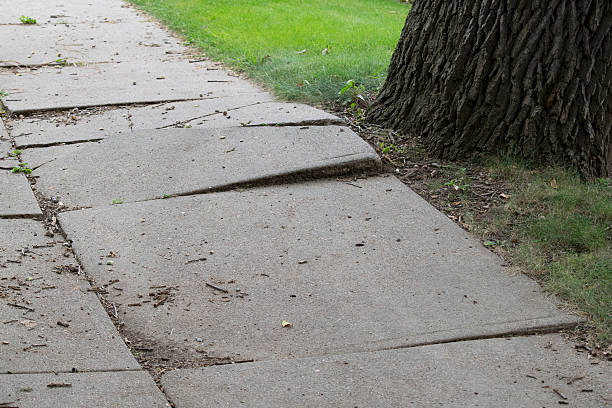 istock Sidewalk disheveled and damaged by tree roots 607506408
