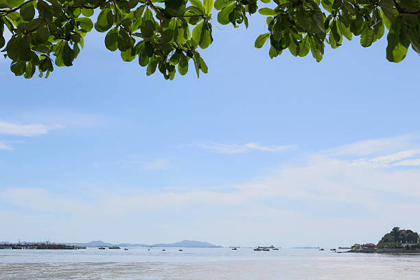 istock Tropical trees in the public park on blue sky background. 607506714
