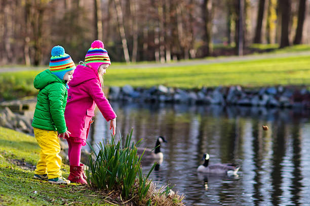 istock Kids feeding ducks in autumn park 607509276