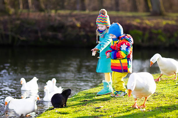 istock Kids feeding otter in park river on cold autumn day 607583902