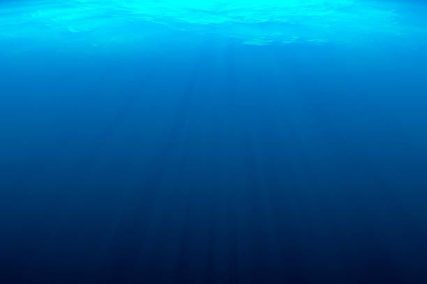 istock Underwater, Sunlight, Scuba Diving, Light - Natural Phenomenon, Sun 607587800