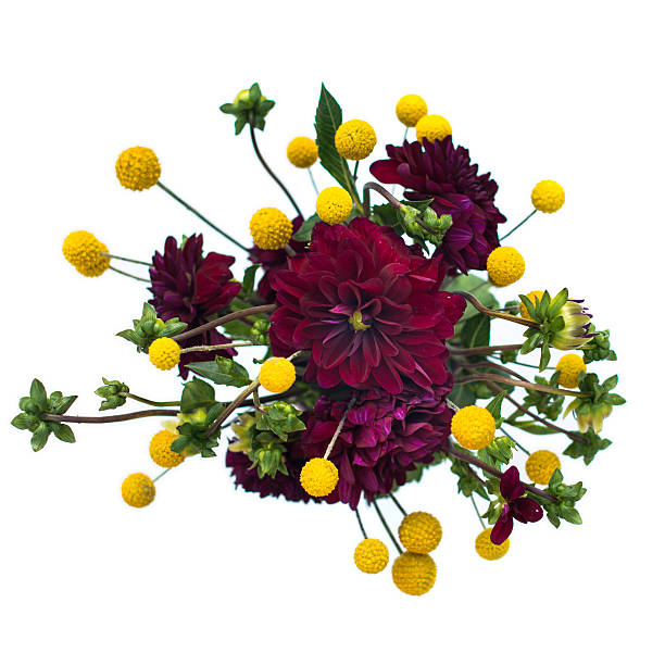 Bouquet of exotic flowers shot on a white background from the top down.