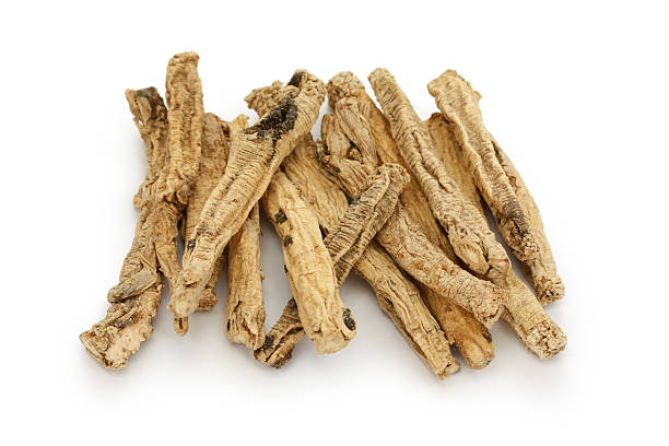 istock codonopsis roots, traditional chinese herbal medicine 607594068