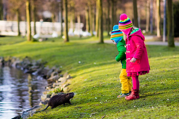istock Little kids feeding otter in autumn park 607595546