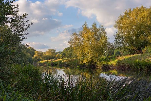 rivière avon, dans le warwickshire, royaume-uni - welford on avon photos et images de collection