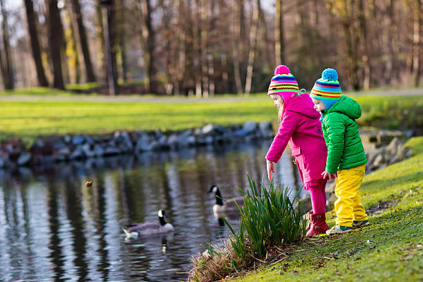 istock Kids feeding ducks in autumn park on cold day 607595946