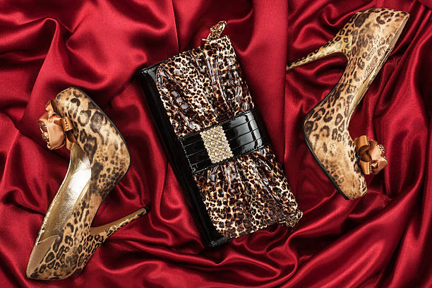 istock Leopard lacquer bag and  shoes on a red 607600618