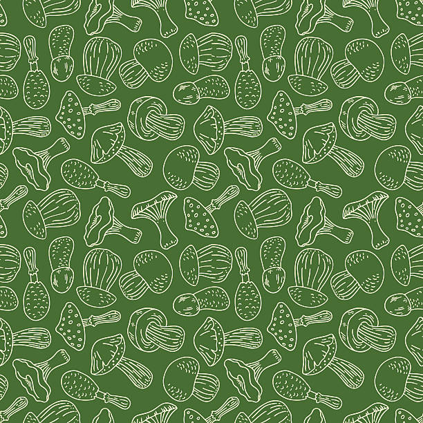 버섯의 매끄러운 녹색 배경 - 독우산광대버섯 stock illustrations