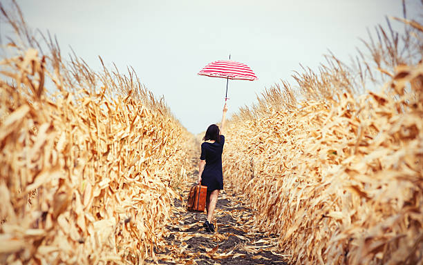 młoda kobieta z walizki i parasol - autumn clothing corn crop fashion zdjęcia i obrazy z banku zdjęć