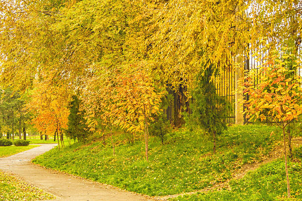istock Landscape with a footpath in the autumn park 607603726