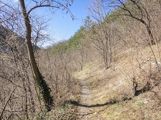 istock Serbian nature. Mountains near Uzice town 607606432