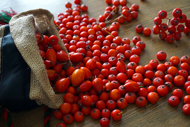 frutos vermelhos de espinheiro em uma mesa de madeira. olá, outono! - hawthorn berry fruit common fruit - fotografias e filmes do acervo