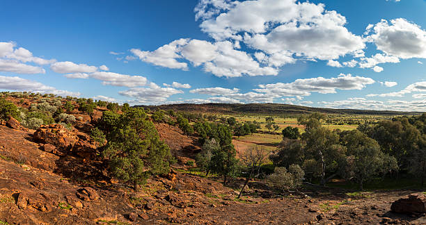 parco nazionale mutawintji - outback australia australian culture land foto e immagini stock