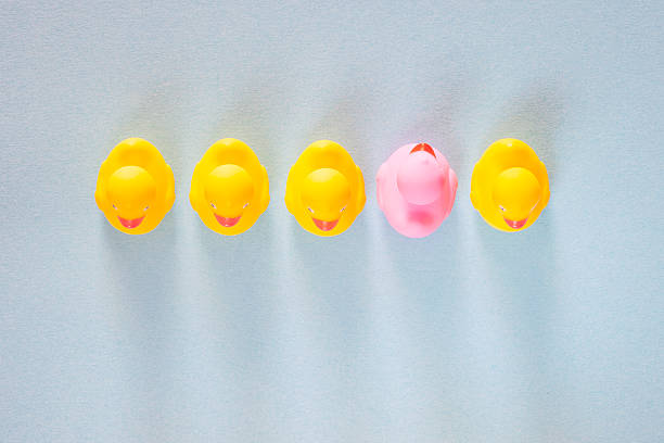 Pink rubber duck standing out from the common yellow ones