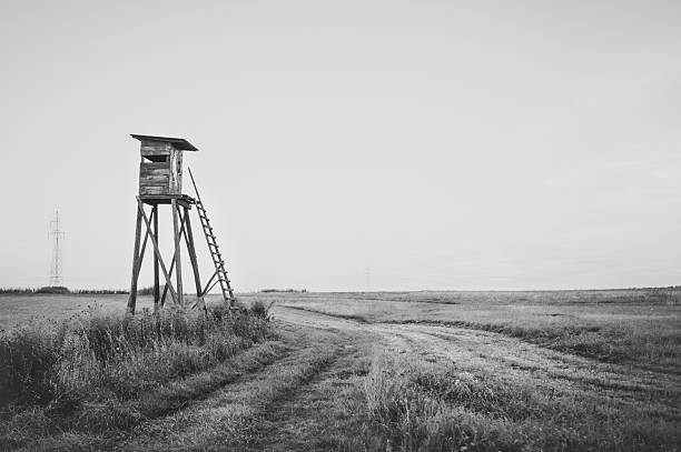 istock Wooden Hunting high tower. Hunters tower. 607609430