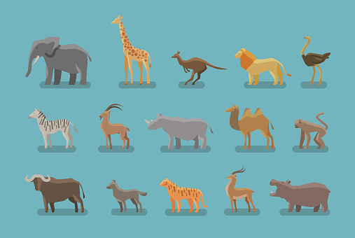 Animals set of colored icons. elephant, giraffe, kangaroo, lion, ostrich, zebra, mountain goat, Rhino camel monkey ox wolf tiger antelope hippo