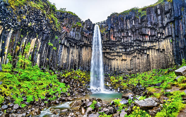 istock View of Svartifoss meaning Black Falls, Iceland 607611182