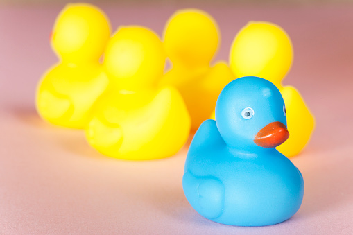 a row of smiling rubber duck on white background