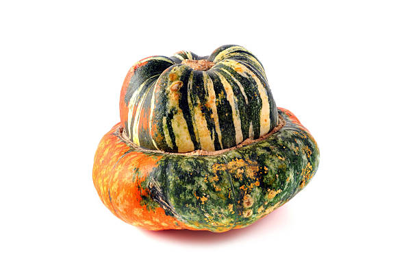 istock single mini pumpkin in orange green on white isolated background 607611746