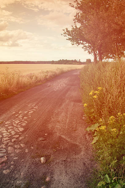 istock The image of forest road gravel 607613174