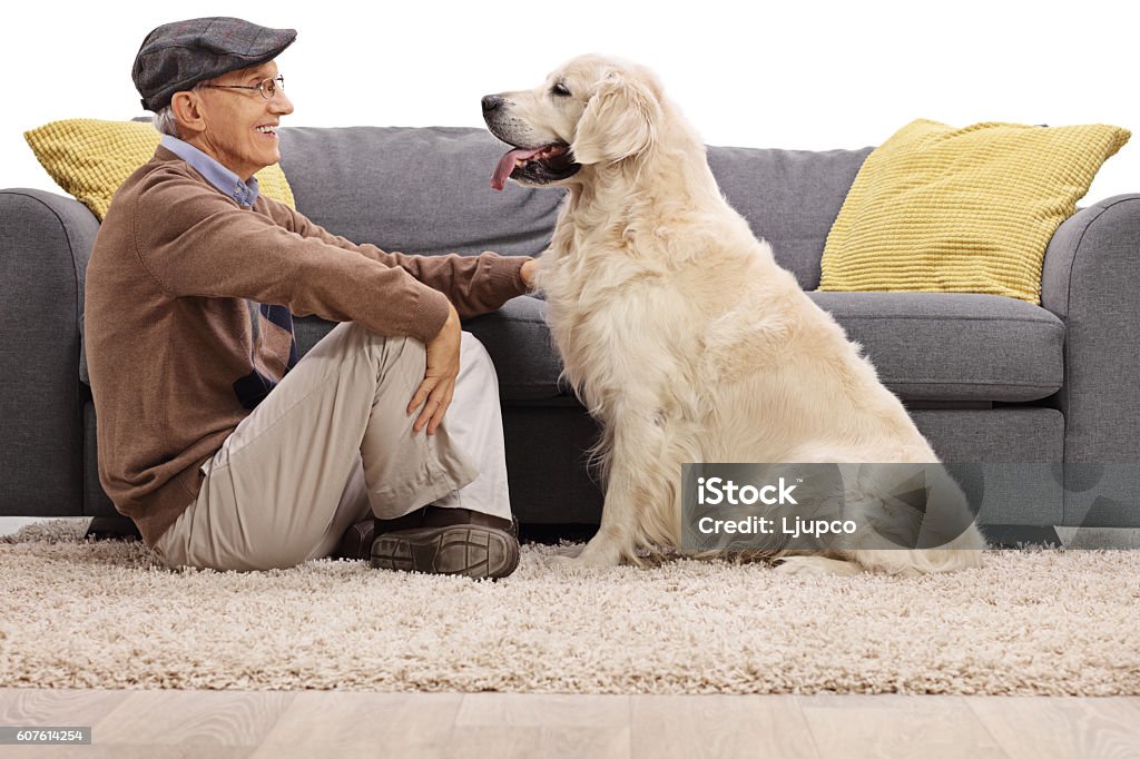 Senior and his dog looking at each other Senior and his dog sitting on the floor and looking at each other isolated on white background Dog Stock Photo