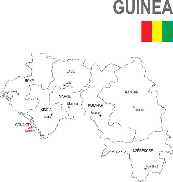 illustrations, cliparts, dessins animés et icônes de guinée - guinée