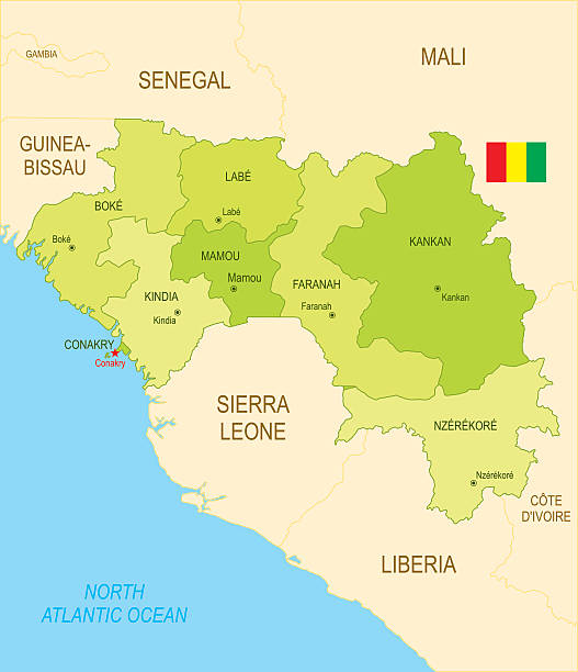 Guinea Background 18,900+ Guinea Stock Photos, Pictures & Royalty-Free Images - iStock