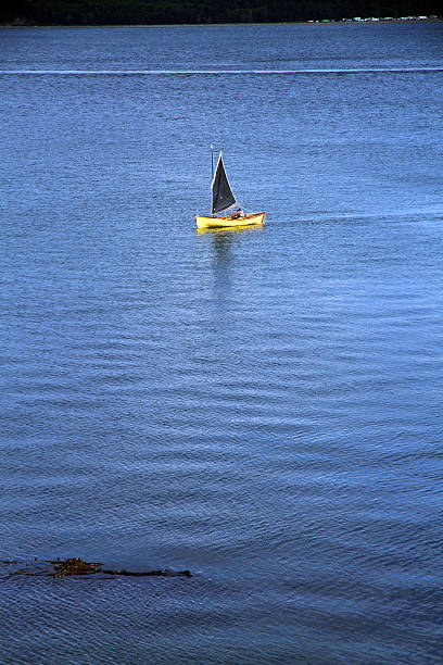 amarillo y azul - rowboat dinghy nautical vessel nautical equipment fotografías e imágenes de stock