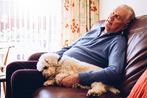 Afternoon Nap with the Dog Senior man asleep at home on his sofa with his pet dog curled up next to him. napping stock pictures, royalty-free photos & images