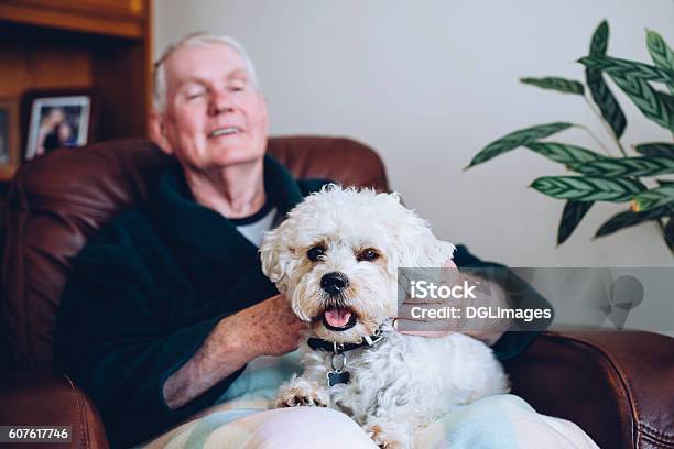 Senior Man And His Dog Stock Photo - Download Image Now - Senior Adult, Dog, Petting