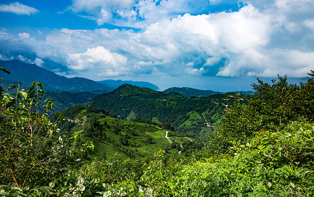 istock mountains artvin green turkey nature 607619076