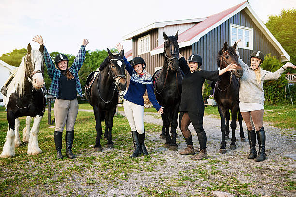 istock Neigh if you love horses 607621490