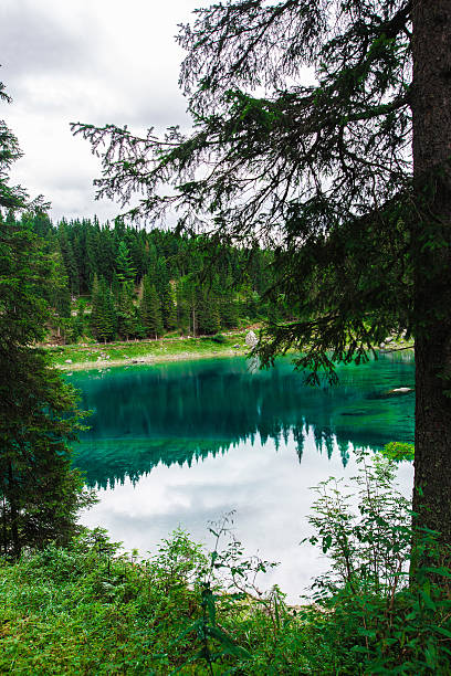 istock landscape the wild nature lake Misurina 607622082