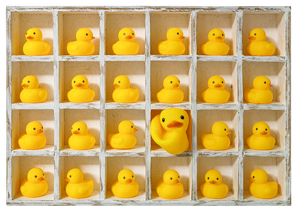small rubber ducks in pigeon holes, one extra large duck. - compartimento de armazenamento imagens e fotografias de stock