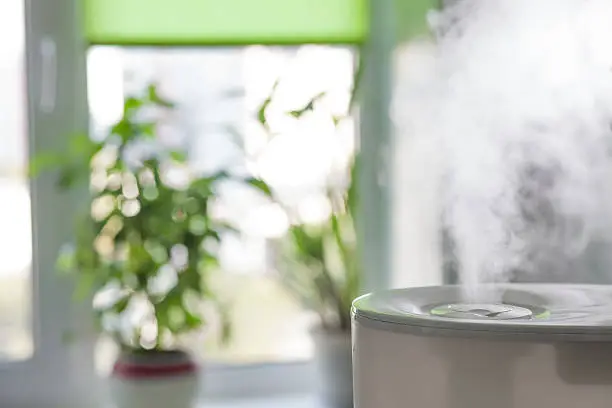 Photo of Humidifier spreading steam