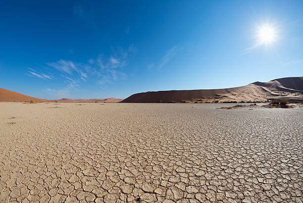 백라이트의 소수스블레이, 나미비아, 아프리카 - drought landscape global warming environment 뉴스 사진 ��이미지