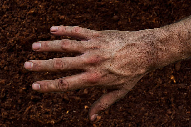 istock Farmer's rough hand isolated on fertile soil 607649384