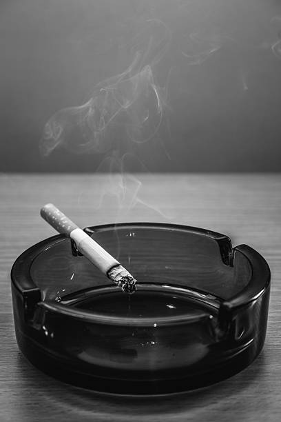 istock Cigar in the ashtray  black and white 607649750