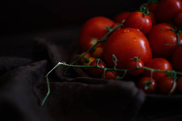 유기농 자생 신선한 여름 토마토 - tomato beefsteak tomato heirloom tomato pink 뉴스 사진 이미지