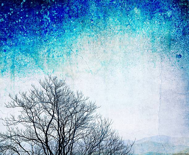 grunge bare tree on textured blue background - abstract autumn bare tree empty imagens e fotografias de stock