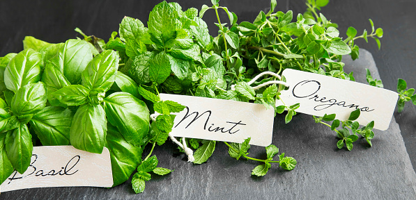 Aromatic herbs bunch , basil, mint and oregano with labels