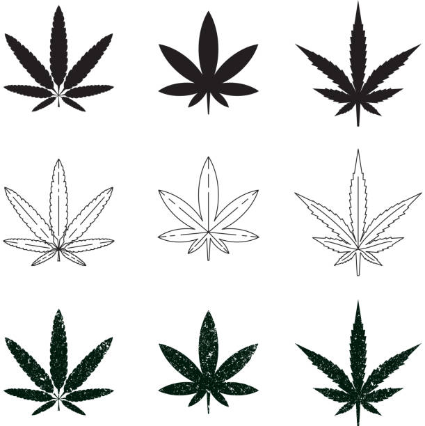istock Set of medical marijuana symbols, logos, icons. 607652714