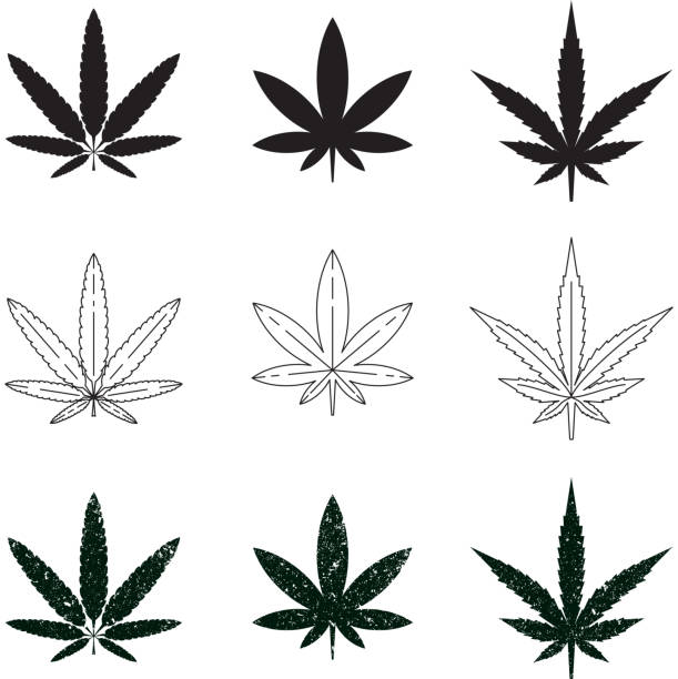 Set of medical marijuana symbols, logos, icons. Vector illustration EPS 10 isolated on white background weed leaf stock illustrations